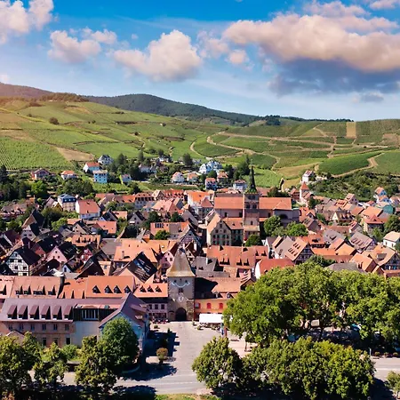 Bretzel Et Grappe Ingersheim